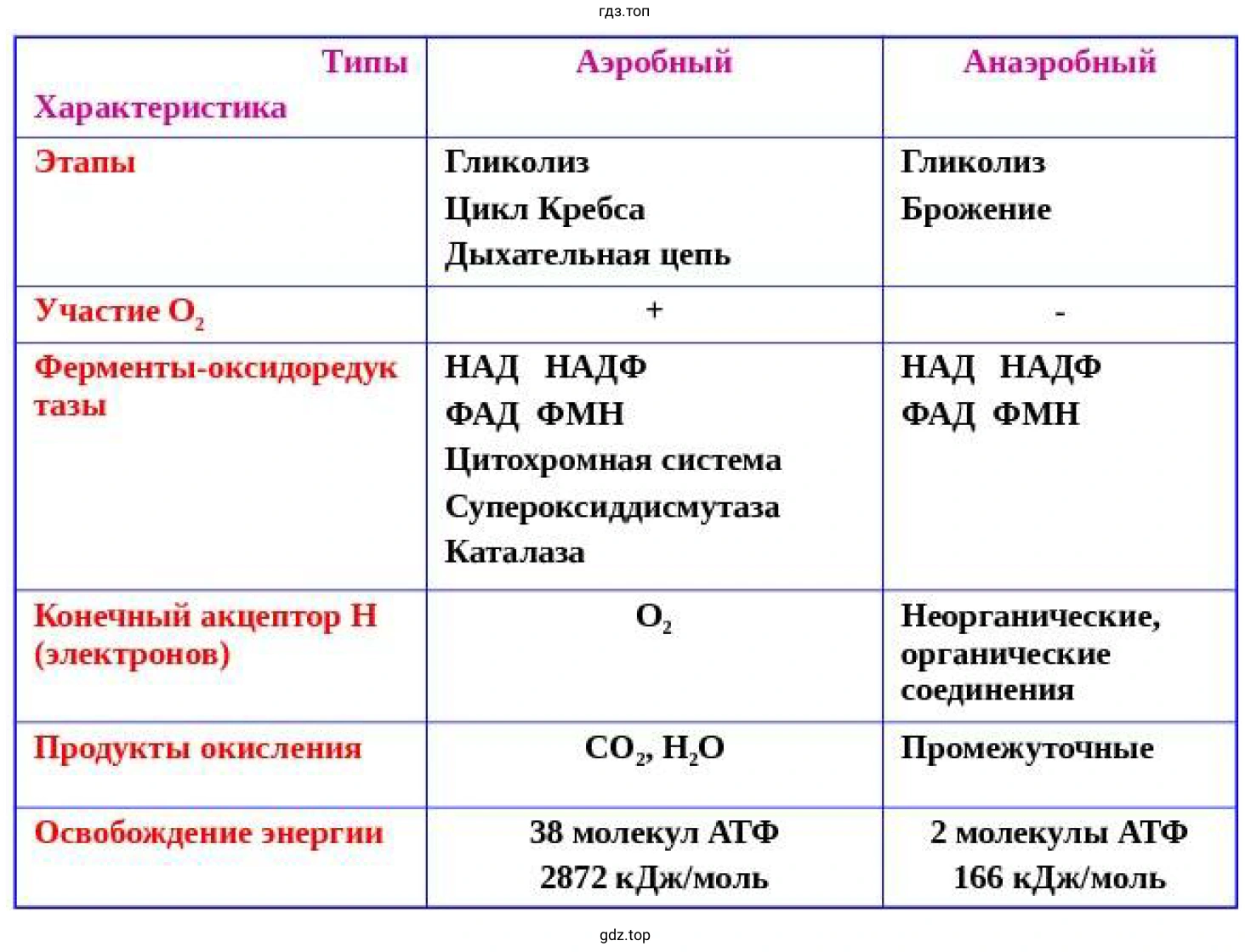 Рисунок. Таблица сравнений процессов аэробного и анаэробного окисления.