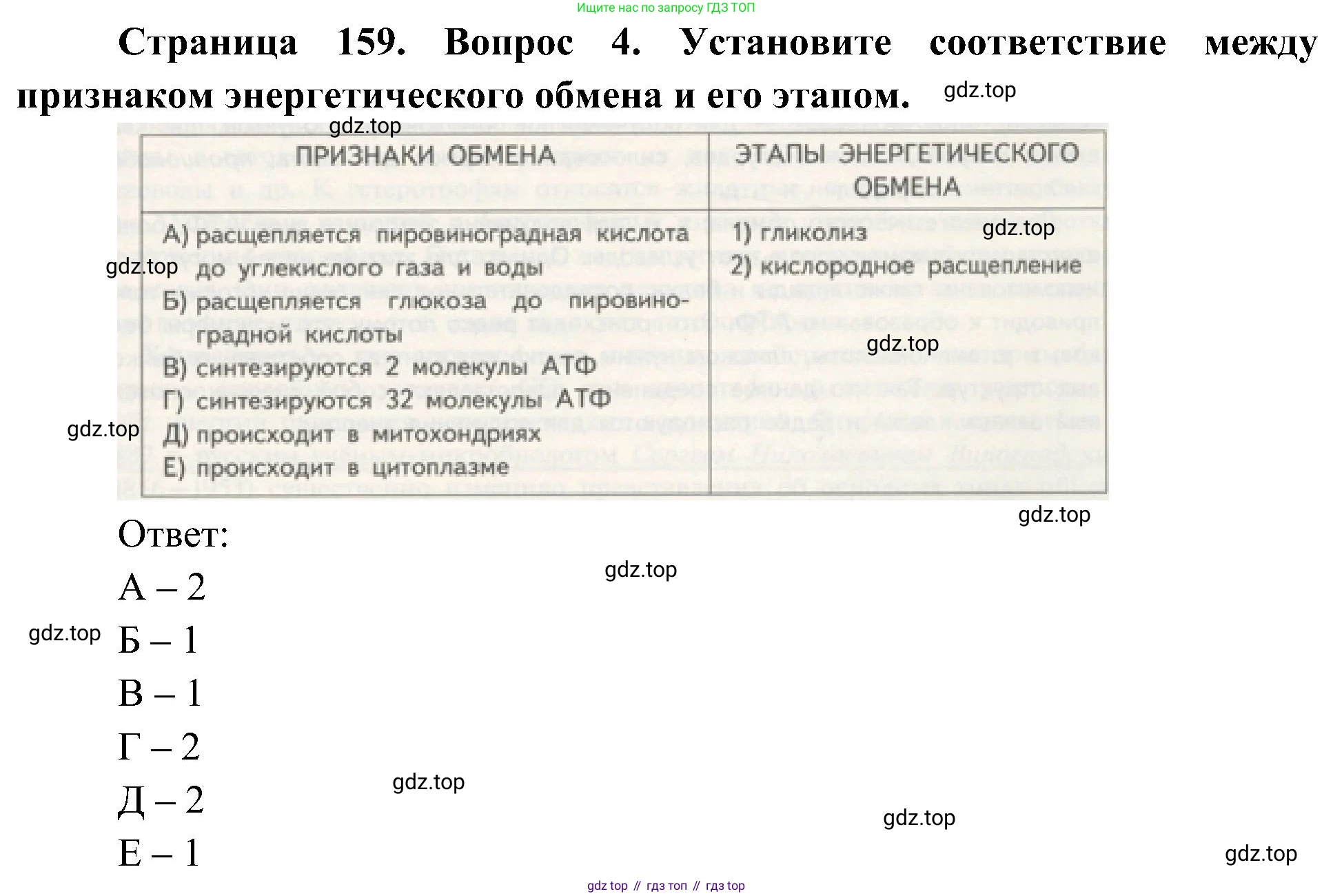 ГДЗ Биология, 10 класс Учебник, авторы: Пасечник Владимир Васильевич, Каменский Андрей Александрович, Рубцов Александр Михайлович, Швецов Глеб Геннадьевич, Гапонюк Зоя Георгиевна, издательство Просвещение, Москва, 2018, зелёного цвета, страница 159, номер 4, Решение