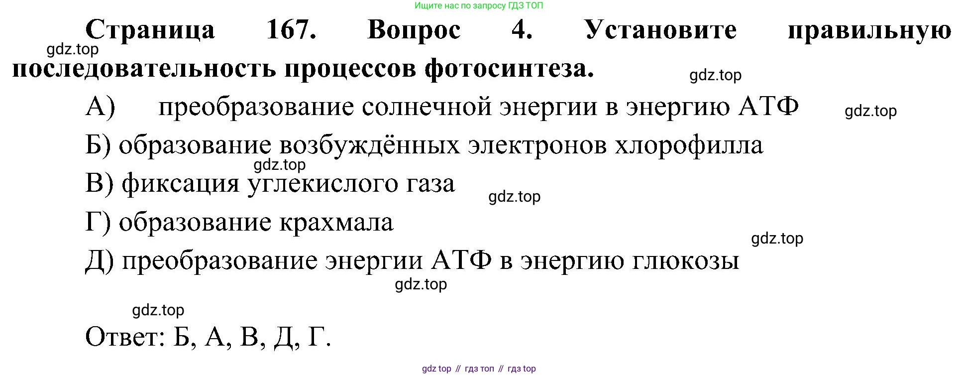 ГДЗ Биология, 10 класс Учебник, авторы: Пасечник Владимир Васильевич, Каменский Андрей Александрович, Рубцов Александр Михайлович, Швецов Глеб Геннадьевич, Гапонюк Зоя Георгиевна, издательство Просвещение, Москва, 2018, зелёного цвета, страница 167, номер 4, Решение