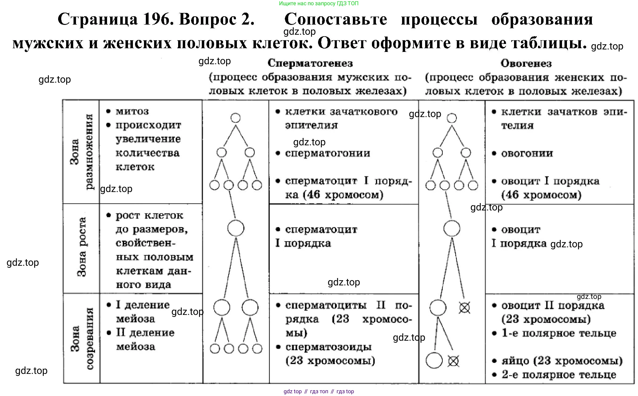 ГДЗ Биология, 10 класс Учебник, авторы: Пасечник Владимир Васильевич, Каменский Андрей Александрович, Рубцов Александр Михайлович, Швецов Глеб Геннадьевич, Гапонюк Зоя Георгиевна, издательство Просвещение, Москва, 2018, зелёного цвета, страница 196, номер 2, Решение
