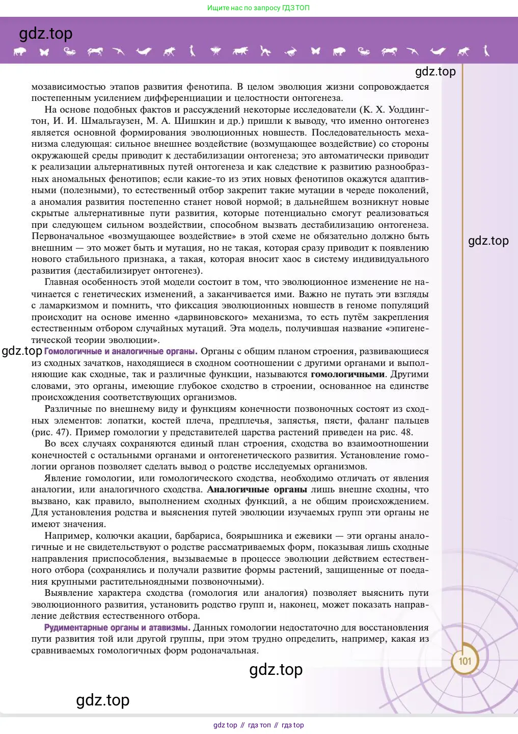 Биология, 11 класс Учебник, авторы: Пасечник Владимир Васильевич, Каменский Андрей Александрович, Рубцов Александр Михайлович, Швецов Глеб Геннадьевич, Абовян Леван Арташесович, Гапонюк Зоя Георгиевна, издательство Просвещение, Москва, 2023, страница 101