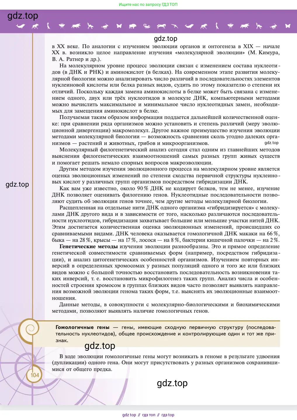 Биология, 11 класс Учебник, авторы: Пасечник Владимир Васильевич, Каменский Андрей Александрович, Рубцов Александр Михайлович, Швецов Глеб Геннадьевич, Абовян Леван Арташесович, Гапонюк Зоя Георгиевна, издательство Просвещение, Москва, 2023, страница 104