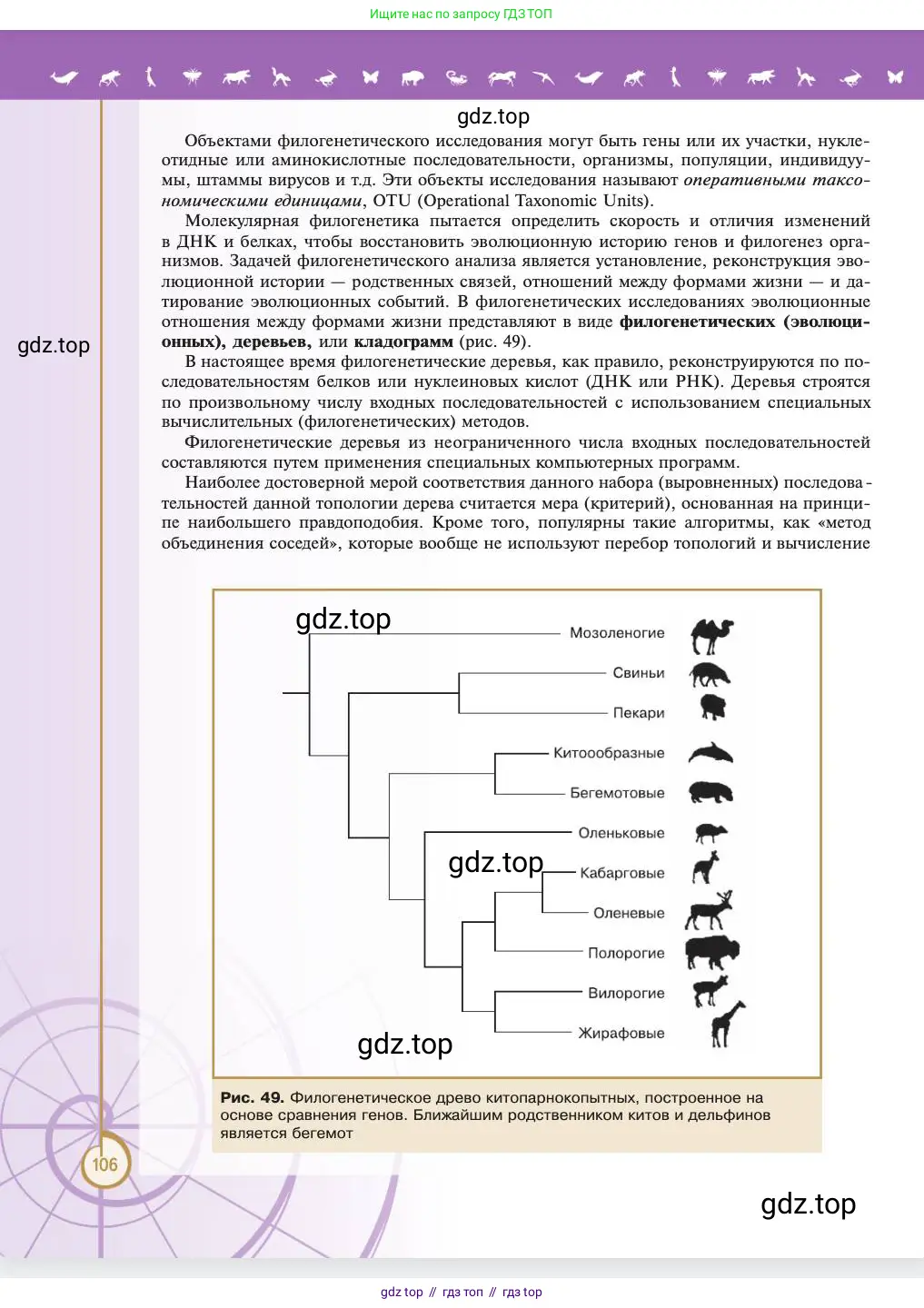 Биология, 11 класс Учебник, авторы: Пасечник Владимир Васильевич, Каменский Андрей Александрович, Рубцов Александр Михайлович, Швецов Глеб Геннадьевич, Абовян Леван Арташесович, Гапонюк Зоя Георгиевна, издательство Просвещение, Москва, 2023, страница 106