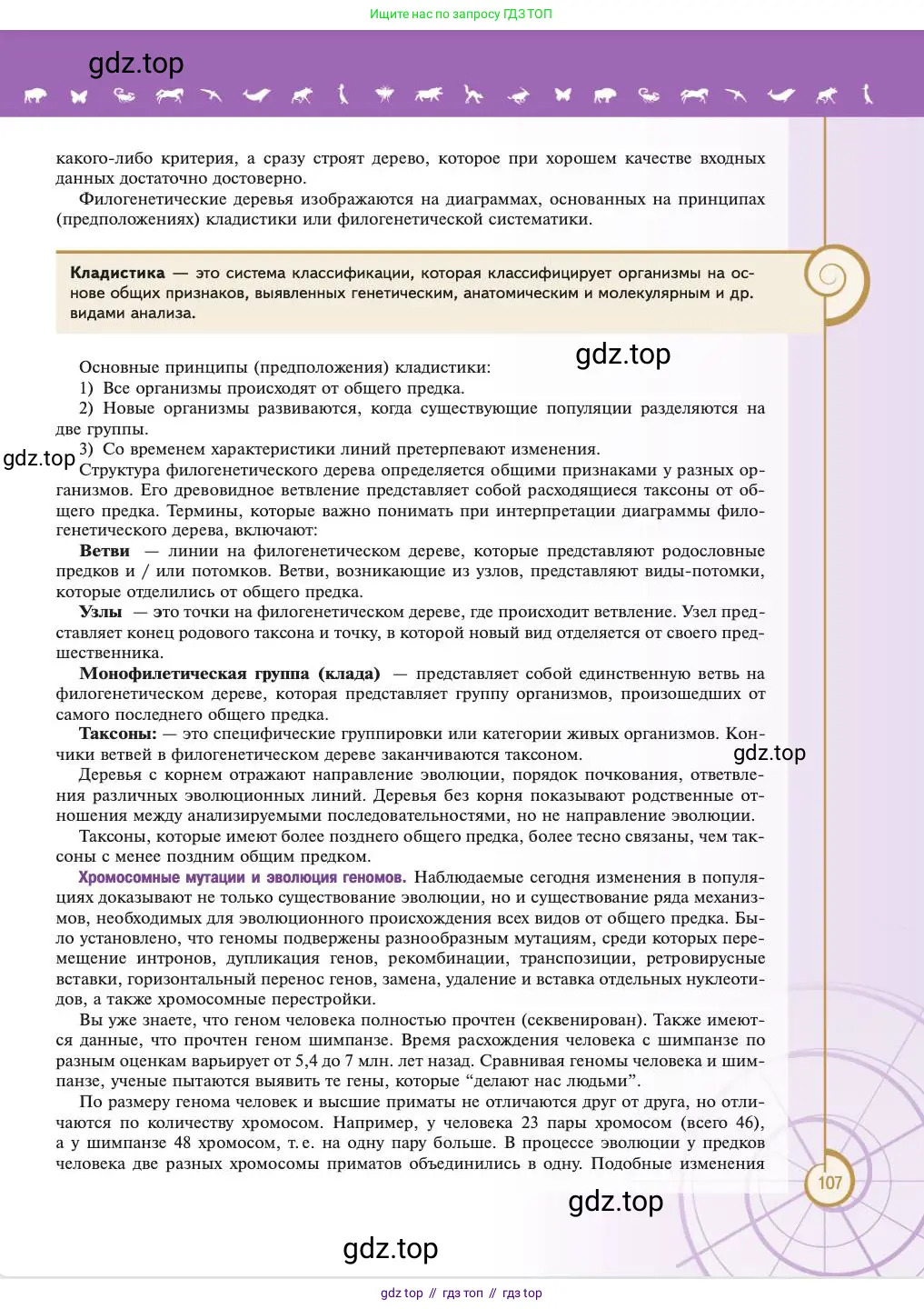 Биология, 11 класс Учебник, авторы: Пасечник Владимир Васильевич, Каменский Андрей Александрович, Рубцов Александр Михайлович, Швецов Глеб Геннадьевич, Абовян Леван Арташесович, Гапонюк Зоя Георгиевна, издательство Просвещение, Москва, 2023, страница 107