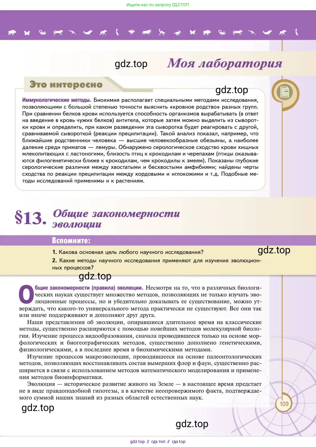 Биология, 11 класс Учебник, авторы: Пасечник Владимир Васильевич, Каменский Андрей Александрович, Рубцов Александр Михайлович, Швецов Глеб Геннадьевич, Абовян Леван Арташесович, Гапонюк Зоя Георгиевна, издательство Просвещение, Москва, 2023, страница 109