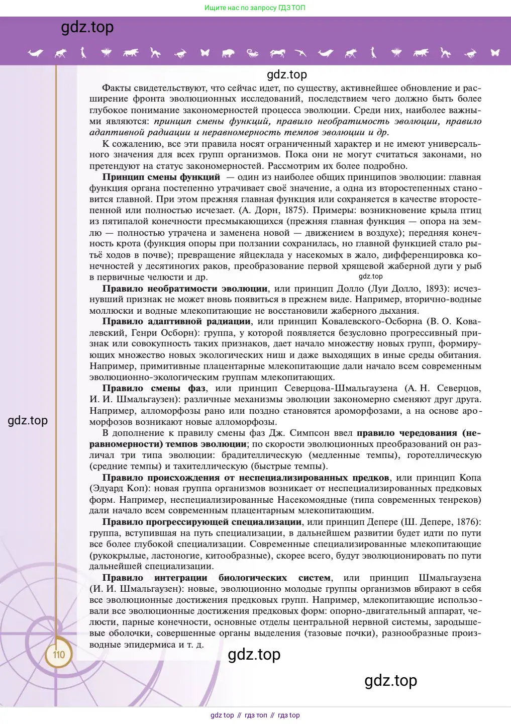 Биология, 11 класс Учебник, авторы: Пасечник Владимир Васильевич, Каменский Андрей Александрович, Рубцов Александр Михайлович, Швецов Глеб Геннадьевич, Абовян Леван Арташесович, Гапонюк Зоя Георгиевна, издательство Просвещение, Москва, 2023, страница 110