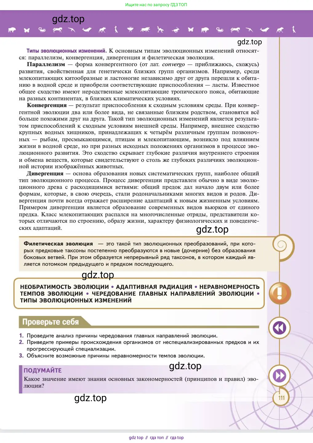 Биология, 11 класс Учебник, авторы: Пасечник Владимир Васильевич, Каменский Андрей Александрович, Рубцов Александр Михайлович, Швецов Глеб Геннадьевич, Абовян Леван Арташесович, Гапонюк Зоя Георгиевна, издательство Просвещение, Москва, 2023, страница 111