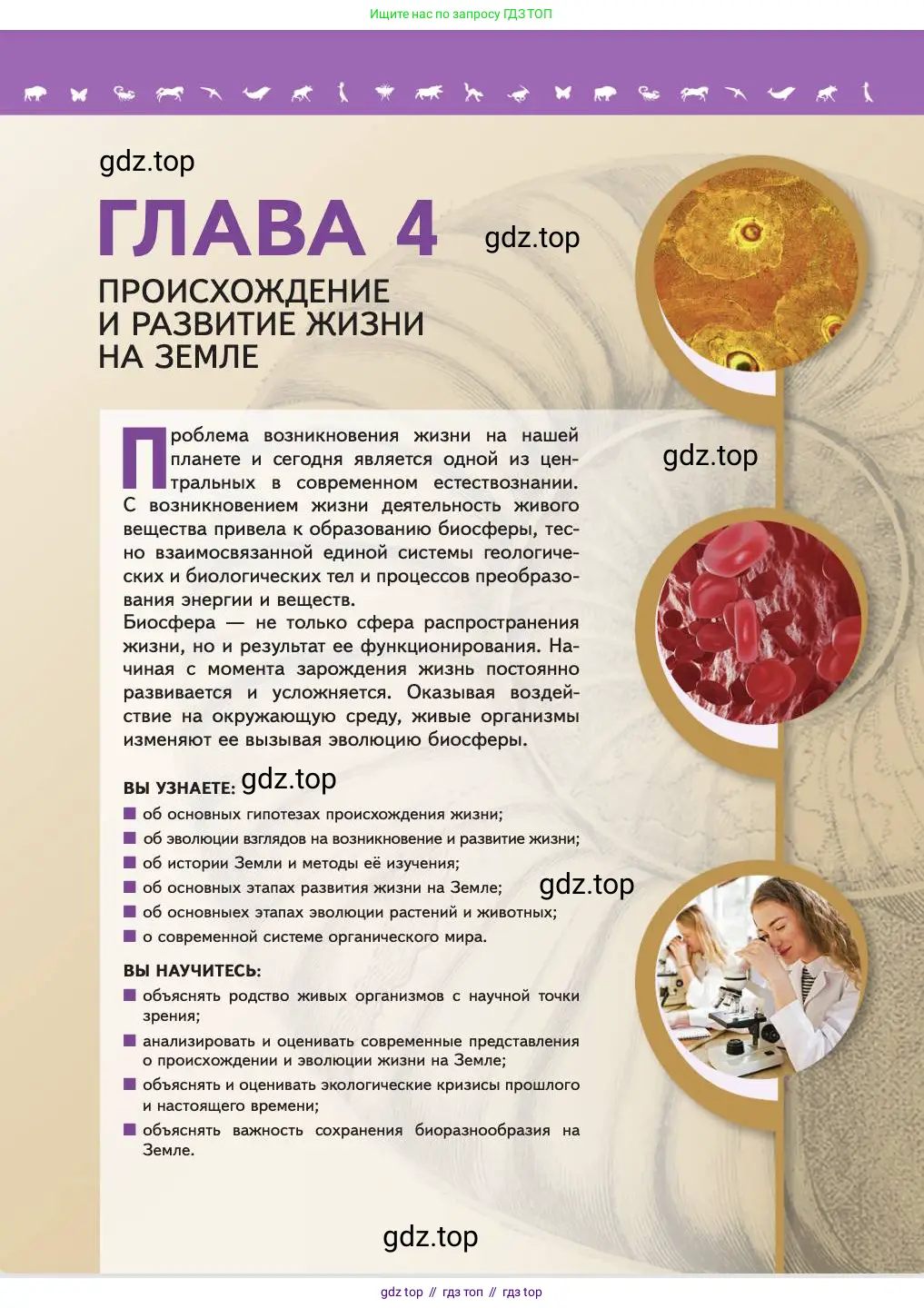 Биология, 11 класс Учебник, авторы: Пасечник Владимир Васильевич, Каменский Андрей Александрович, Рубцов Александр Михайлович, Швецов Глеб Геннадьевич, Абовян Леван Арташесович, Гапонюк Зоя Георгиевна, издательство Просвещение, Москва, 2023, страница 113