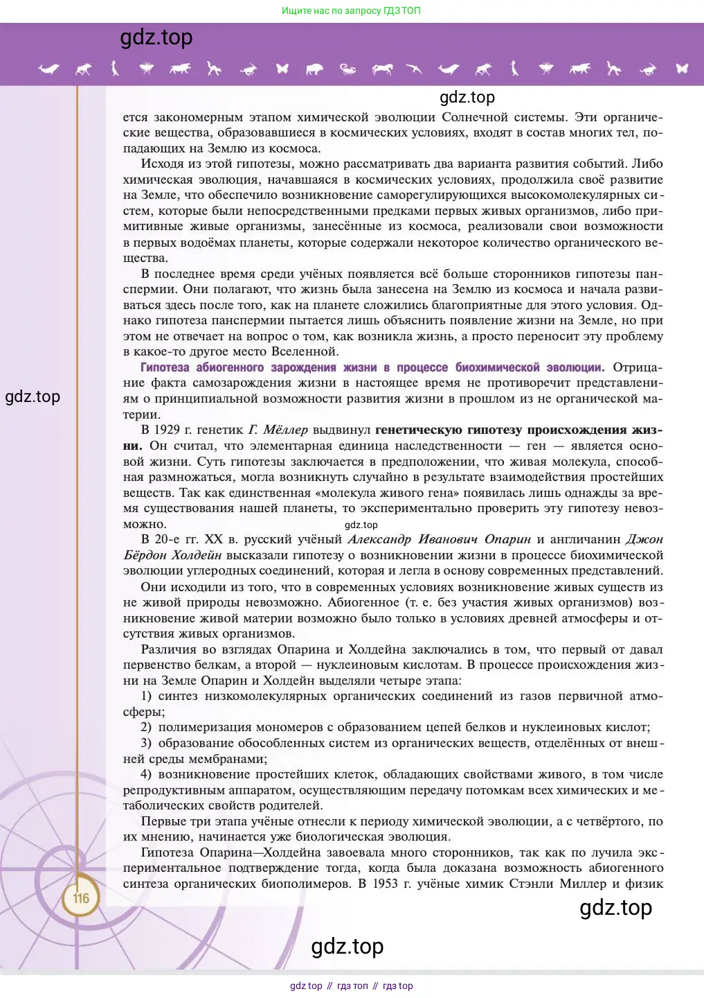 Биология, 11 класс Учебник, авторы: Пасечник Владимир Васильевич, Каменский Андрей Александрович, Рубцов Александр Михайлович, Швецов Глеб Геннадьевич, Абовян Леван Арташесович, Гапонюк Зоя Георгиевна, издательство Просвещение, Москва, 2023, страница 116