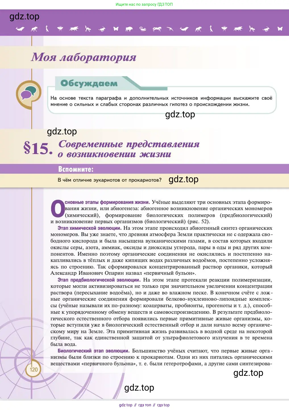 Биология, 11 класс Учебник, авторы: Пасечник Владимир Васильевич, Каменский Андрей Александрович, Рубцов Александр Михайлович, Швецов Глеб Геннадьевич, Абовян Леван Арташесович, Гапонюк Зоя Георгиевна, издательство Просвещение, Москва, 2023, страница 120