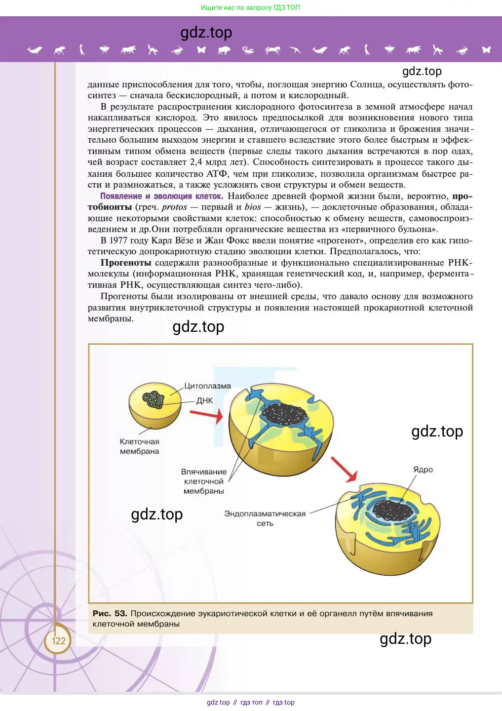 Биология, 11 класс Учебник, авторы: Пасечник Владимир Васильевич, Каменский Андрей Александрович, Рубцов Александр Михайлович, Швецов Глеб Геннадьевич, Абовян Леван Арташесович, Гапонюк Зоя Георгиевна, издательство Просвещение, Москва, 2023, страница 122