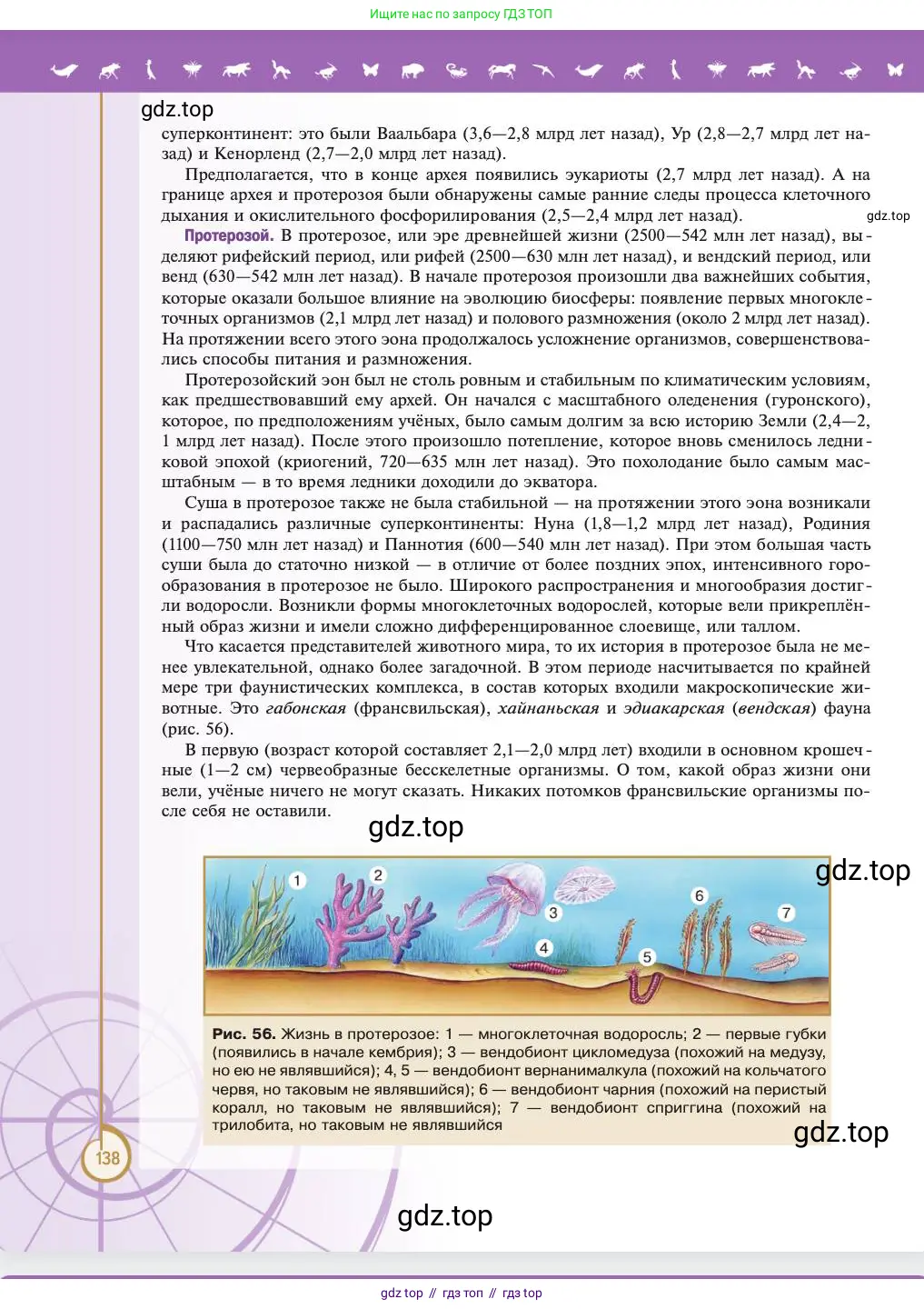 Биология, 11 класс Учебник, авторы: Пасечник Владимир Васильевич, Каменский Андрей Александрович, Рубцов Александр Михайлович, Швецов Глеб Геннадьевич, Абовян Леван Арташесович, Гапонюк Зоя Георгиевна, издательство Просвещение, Москва, 2023, страница 138