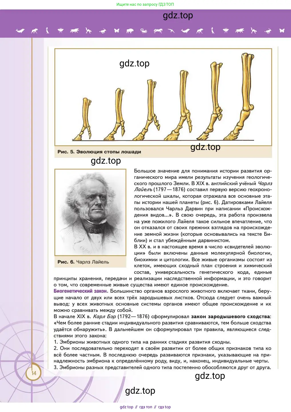 Биология, 11 класс Учебник, авторы: Пасечник Владимир Васильевич, Каменский Андрей Александрович, Рубцов Александр Михайлович, Швецов Глеб Геннадьевич, Абовян Леван Арташесович, Гапонюк Зоя Георгиевна, издательство Просвещение, Москва, 2023, страница 14