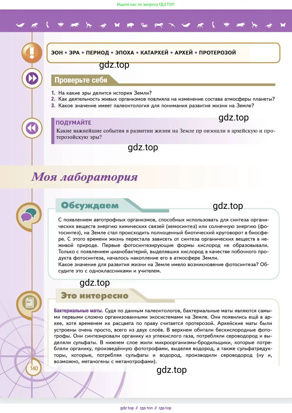 Биология, 11 класс Учебник, авторы: Пасечник Владимир Васильевич, Каменский Андрей Александрович, Рубцов Александр Михайлович, Швецов Глеб Геннадьевич, Абовян Леван Арташесович, Гапонюк Зоя Георгиевна, издательство Просвещение, Москва, 2023, страница 140