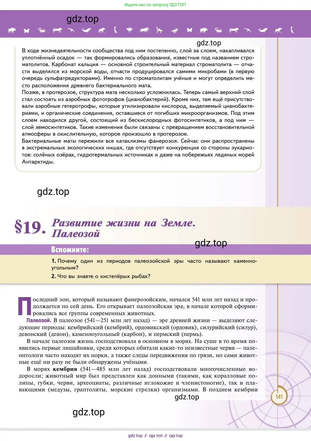 Биология, 11 класс Учебник, авторы: Пасечник Владимир Васильевич, Каменский Андрей Александрович, Рубцов Александр Михайлович, Швецов Глеб Геннадьевич, Абовян Леван Арташесович, Гапонюк Зоя Георгиевна, издательство Просвещение, Москва, 2023, страница 141