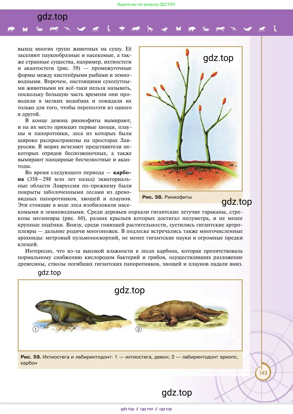 Биология, 11 класс Учебник, авторы: Пасечник Владимир Васильевич, Каменский Андрей Александрович, Рубцов Александр Михайлович, Швецов Глеб Геннадьевич, Абовян Леван Арташесович, Гапонюк Зоя Георгиевна, издательство Просвещение, Москва, 2023, страница 143
