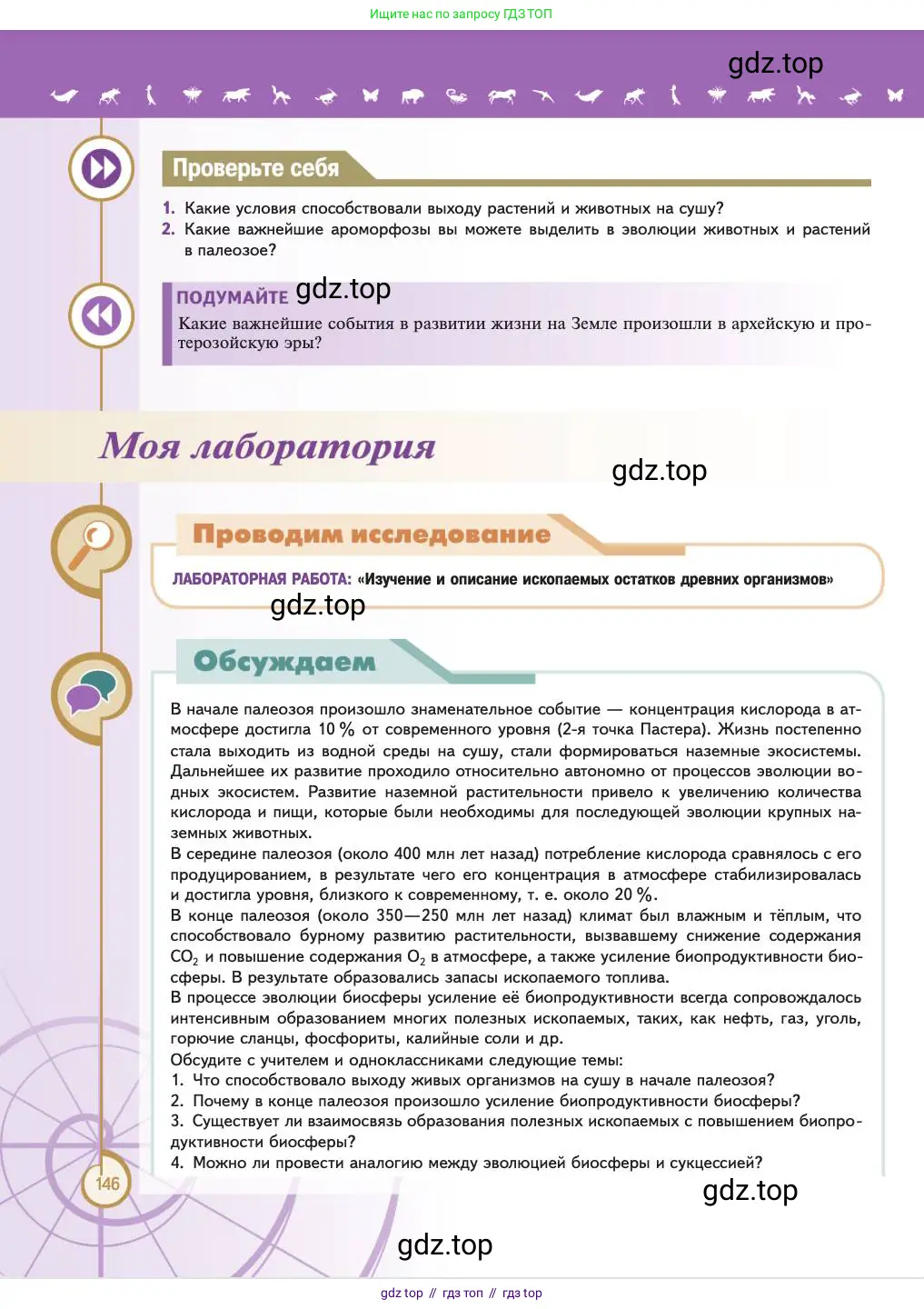 Биология, 11 класс Учебник, авторы: Пасечник Владимир Васильевич, Каменский Андрей Александрович, Рубцов Александр Михайлович, Швецов Глеб Геннадьевич, Абовян Леван Арташесович, Гапонюк Зоя Георгиевна, издательство Просвещение, Москва, 2023, страница 146