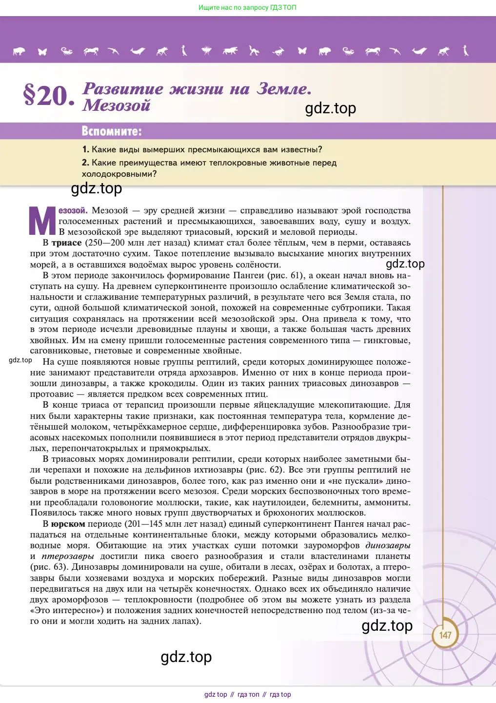 Биология, 11 класс Учебник, авторы: Пасечник Владимир Васильевич, Каменский Андрей Александрович, Рубцов Александр Михайлович, Швецов Глеб Геннадьевич, Абовян Леван Арташесович, Гапонюк Зоя Георгиевна, издательство Просвещение, Москва, 2023, страница 147