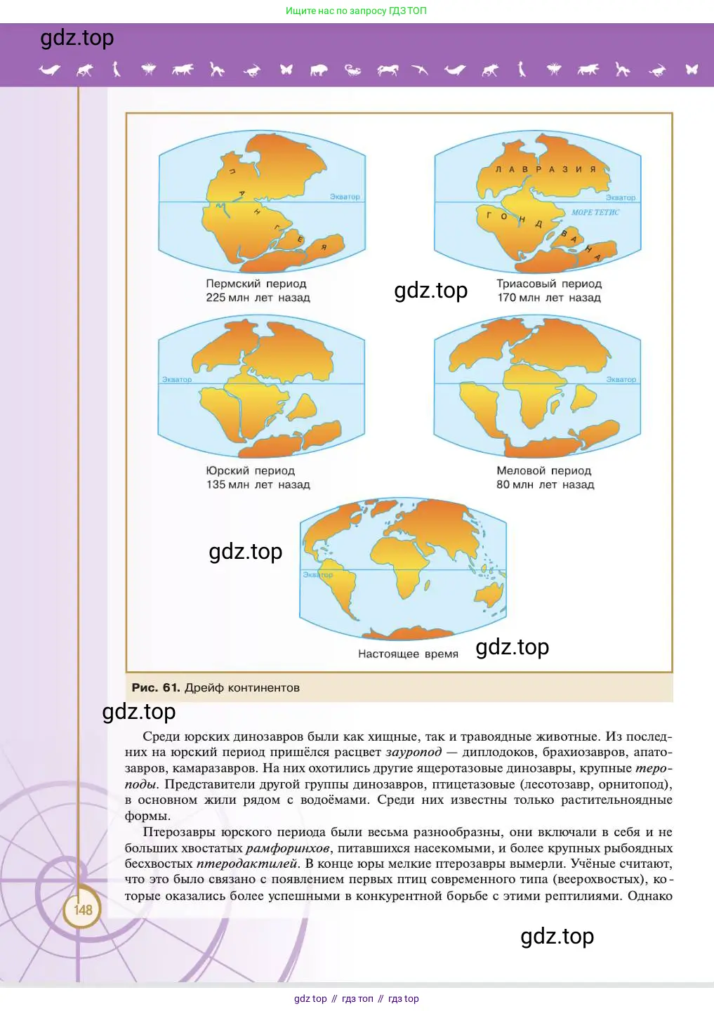 Биология, 11 класс Учебник, авторы: Пасечник Владимир Васильевич, Каменский Андрей Александрович, Рубцов Александр Михайлович, Швецов Глеб Геннадьевич, Абовян Леван Арташесович, Гапонюк Зоя Георгиевна, издательство Просвещение, Москва, 2023, страница 148