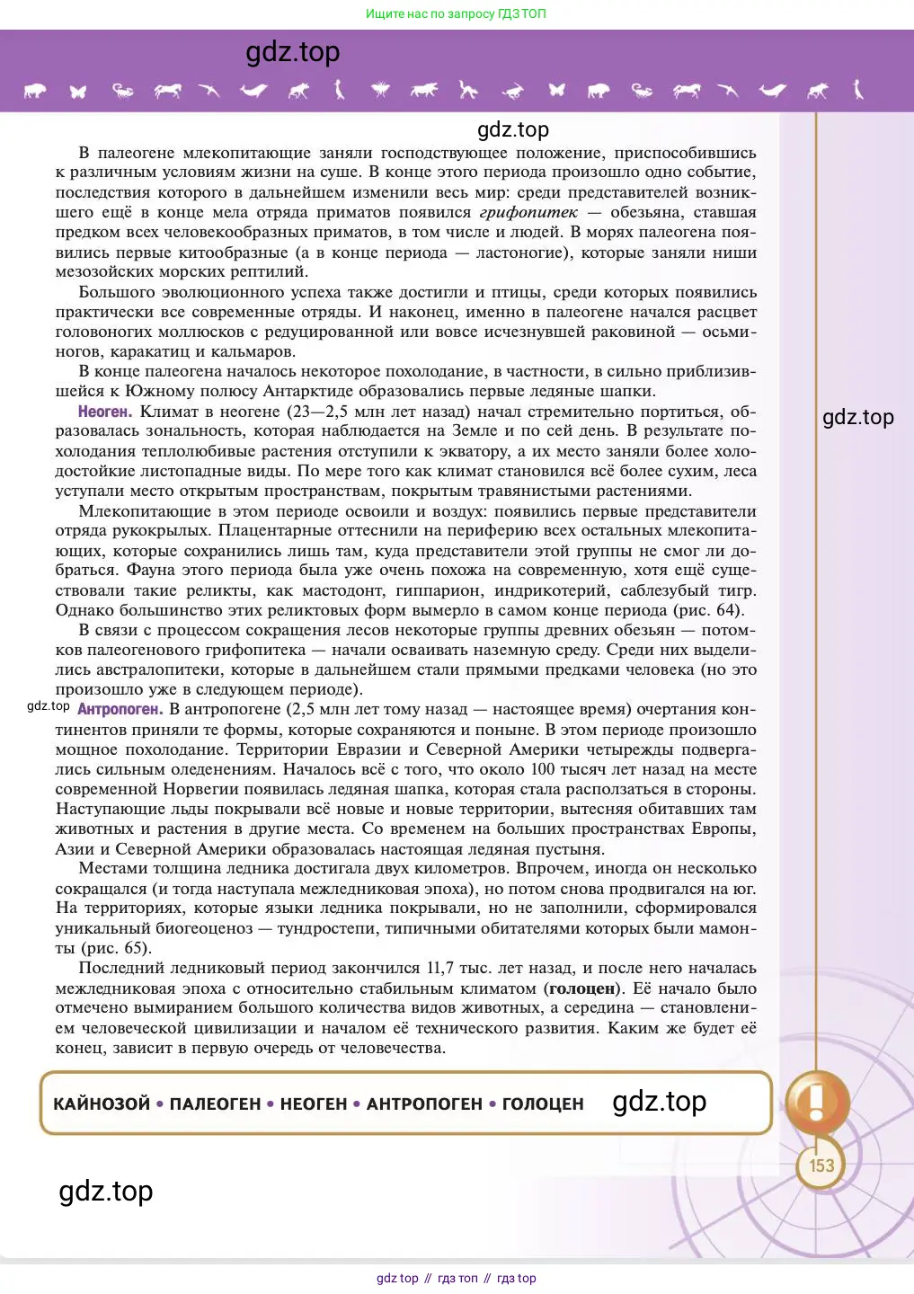 Биология, 11 класс Учебник, авторы: Пасечник Владимир Васильевич, Каменский Андрей Александрович, Рубцов Александр Михайлович, Швецов Глеб Геннадьевич, Абовян Леван Арташесович, Гапонюк Зоя Георгиевна, издательство Просвещение, Москва, 2023, страница 153