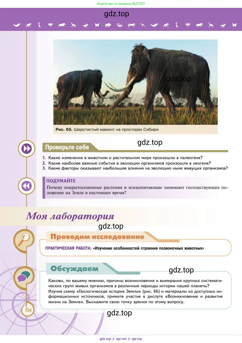 Биология, 11 класс Учебник, авторы: Пасечник Владимир Васильевич, Каменский Андрей Александрович, Рубцов Александр Михайлович, Швецов Глеб Геннадьевич, Абовян Леван Арташесович, Гапонюк Зоя Георгиевна, издательство Просвещение, Москва, 2023, страница 154