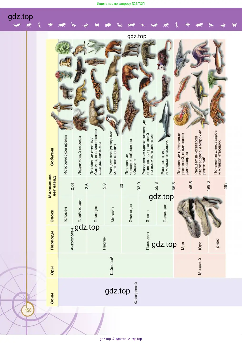Биология, 11 класс Учебник, авторы: Пасечник Владимир Васильевич, Каменский Андрей Александрович, Рубцов Александр Михайлович, Швецов Глеб Геннадьевич, Абовян Леван Арташесович, Гапонюк Зоя Георгиевна, издательство Просвещение, Москва, 2023, страница 156