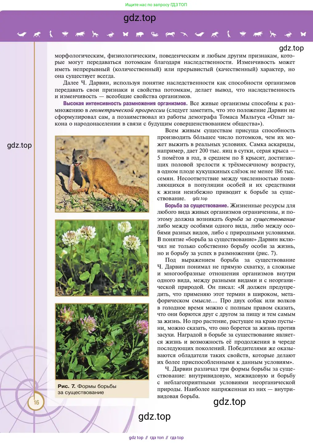 Биология, 11 класс Учебник, авторы: Пасечник Владимир Васильевич, Каменский Андрей Александрович, Рубцов Александр Михайлович, Швецов Глеб Геннадьевич, Абовян Леван Арташесович, Гапонюк Зоя Георгиевна, издательство Просвещение, Москва, 2023, страница 16