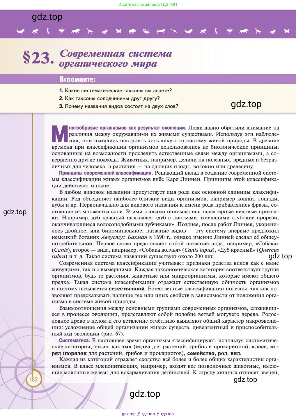 Биология, 11 класс Учебник, авторы: Пасечник Владимир Васильевич, Каменский Андрей Александрович, Рубцов Александр Михайлович, Швецов Глеб Геннадьевич, Абовян Леван Арташесович, Гапонюк Зоя Георгиевна, издательство Просвещение, Москва, 2023, страница 162