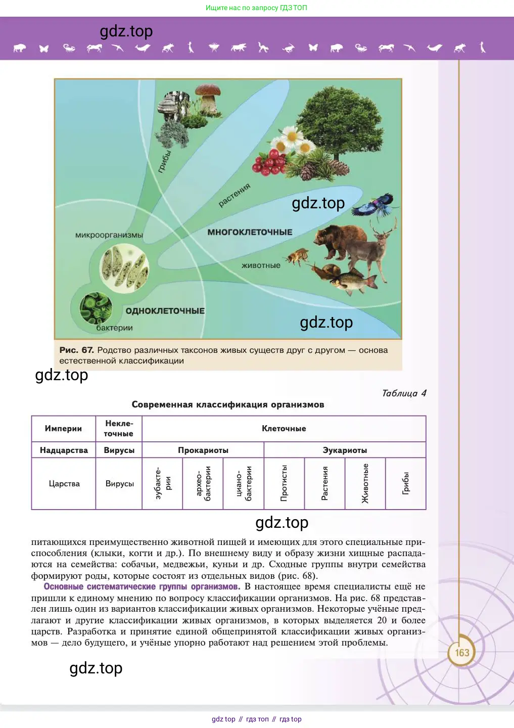 Биология, 11 класс Учебник, авторы: Пасечник Владимир Васильевич, Каменский Андрей Александрович, Рубцов Александр Михайлович, Швецов Глеб Геннадьевич, Абовян Леван Арташесович, Гапонюк Зоя Георгиевна, издательство Просвещение, Москва, 2023, страница 163
