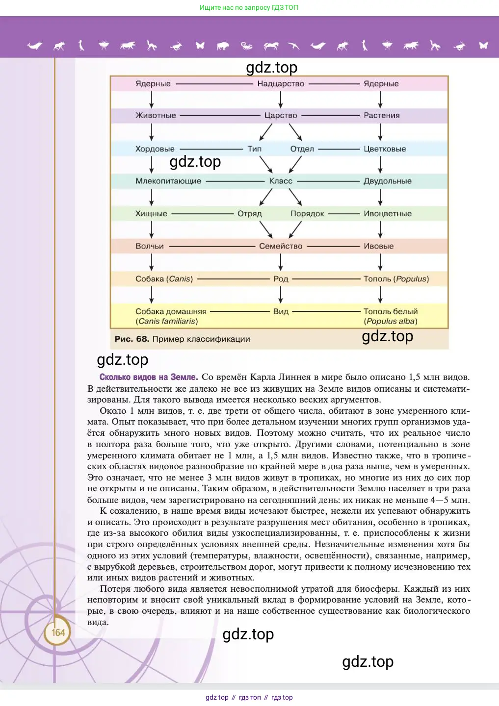 Биология, 11 класс Учебник, авторы: Пасечник Владимир Васильевич, Каменский Андрей Александрович, Рубцов Александр Михайлович, Швецов Глеб Геннадьевич, Абовян Леван Арташесович, Гапонюк Зоя Георгиевна, издательство Просвещение, Москва, 2023, страница 164