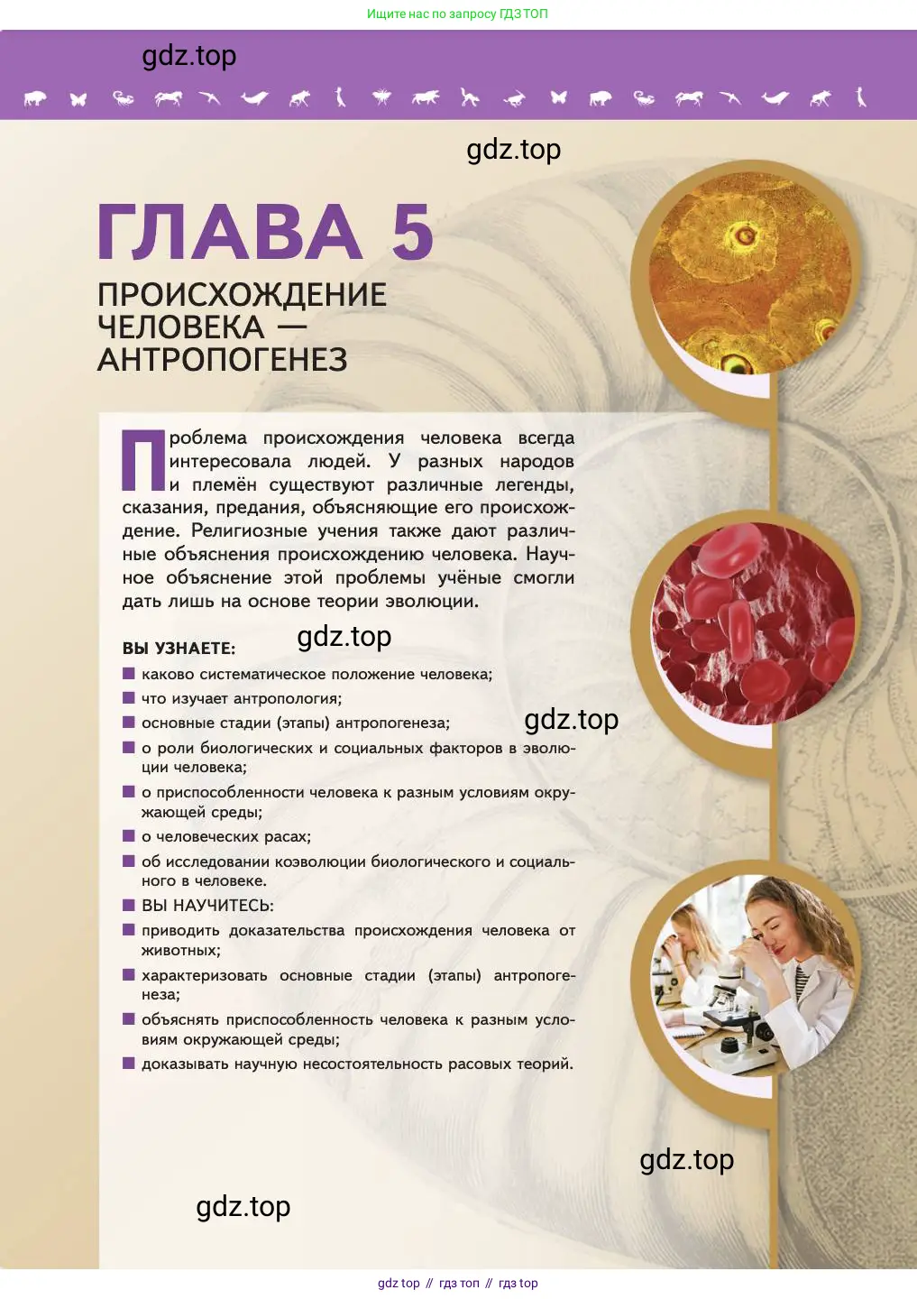 Биология, 11 класс Учебник, авторы: Пасечник Владимир Васильевич, Каменский Андрей Александрович, Рубцов Александр Михайлович, Швецов Глеб Геннадьевич, Абовян Леван Арташесович, Гапонюк Зоя Георгиевна, издательство Просвещение, Москва, 2023, страница 167