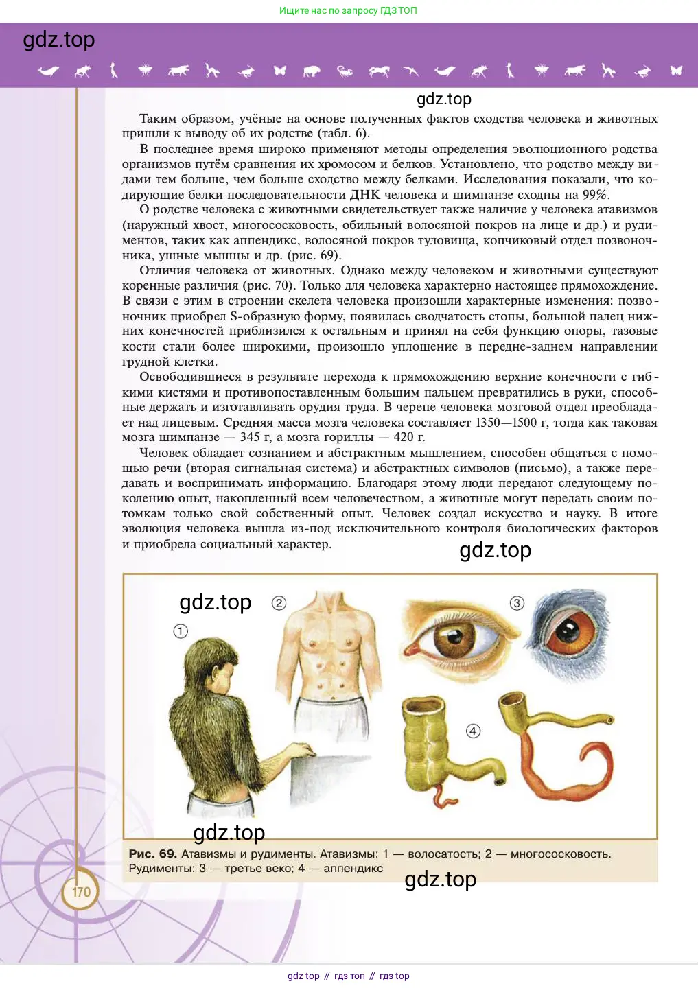 Биология, 11 класс Учебник, авторы: Пасечник Владимир Васильевич, Каменский Андрей Александрович, Рубцов Александр Михайлович, Швецов Глеб Геннадьевич, Абовян Леван Арташесович, Гапонюк Зоя Георгиевна, издательство Просвещение, Москва, 2023, страница 170