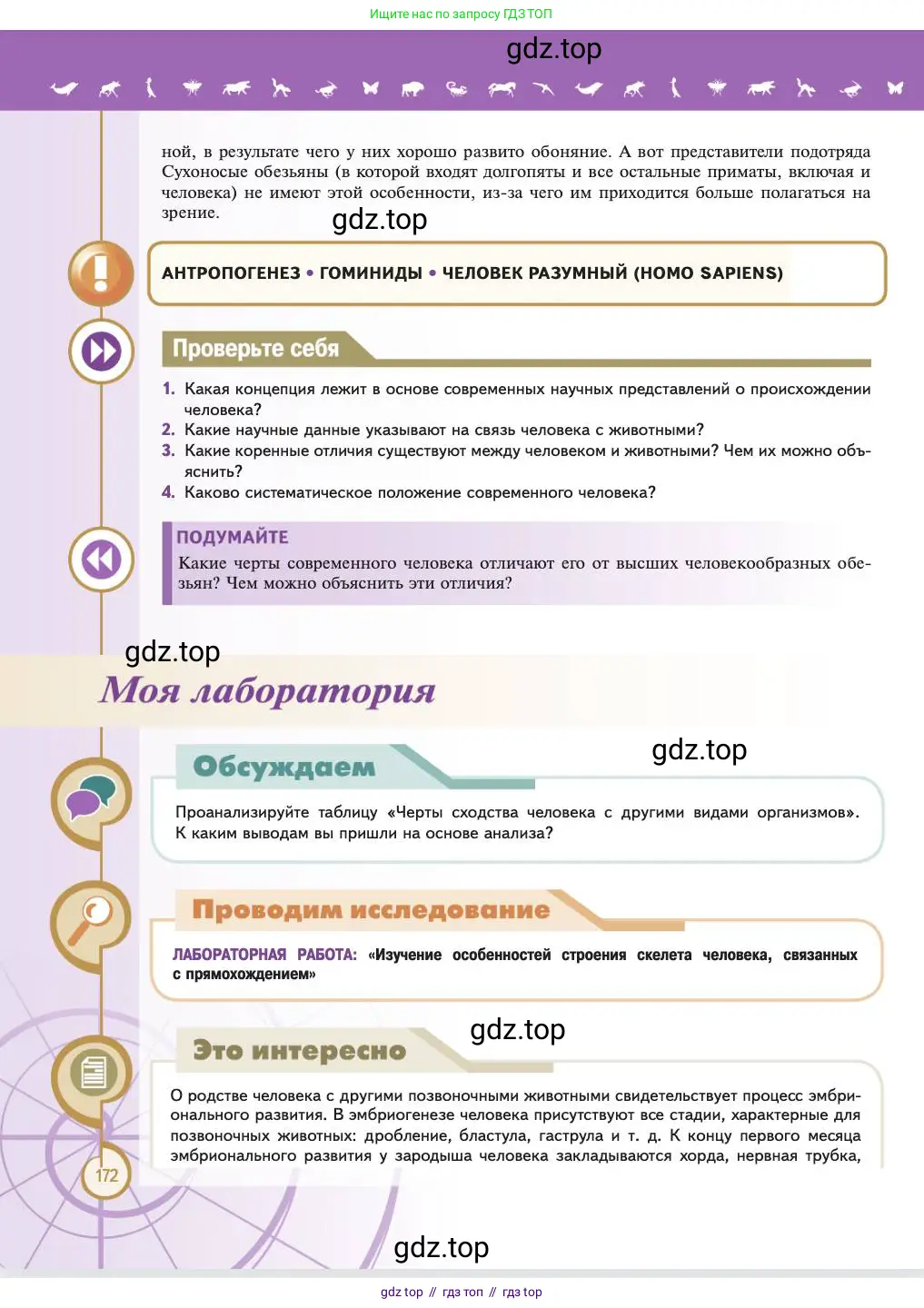 Биология, 11 класс Учебник, авторы: Пасечник Владимир Васильевич, Каменский Андрей Александрович, Рубцов Александр Михайлович, Швецов Глеб Геннадьевич, Абовян Леван Арташесович, Гапонюк Зоя Георгиевна, издательство Просвещение, Москва, 2023, страница 172