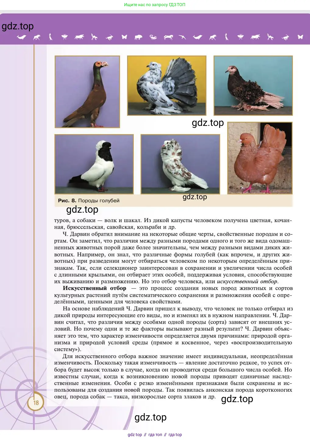 Биология, 11 класс Учебник, авторы: Пасечник Владимир Васильевич, Каменский Андрей Александрович, Рубцов Александр Михайлович, Швецов Глеб Геннадьевич, Абовян Леван Арташесович, Гапонюк Зоя Георгиевна, издательство Просвещение, Москва, 2023, страница 18