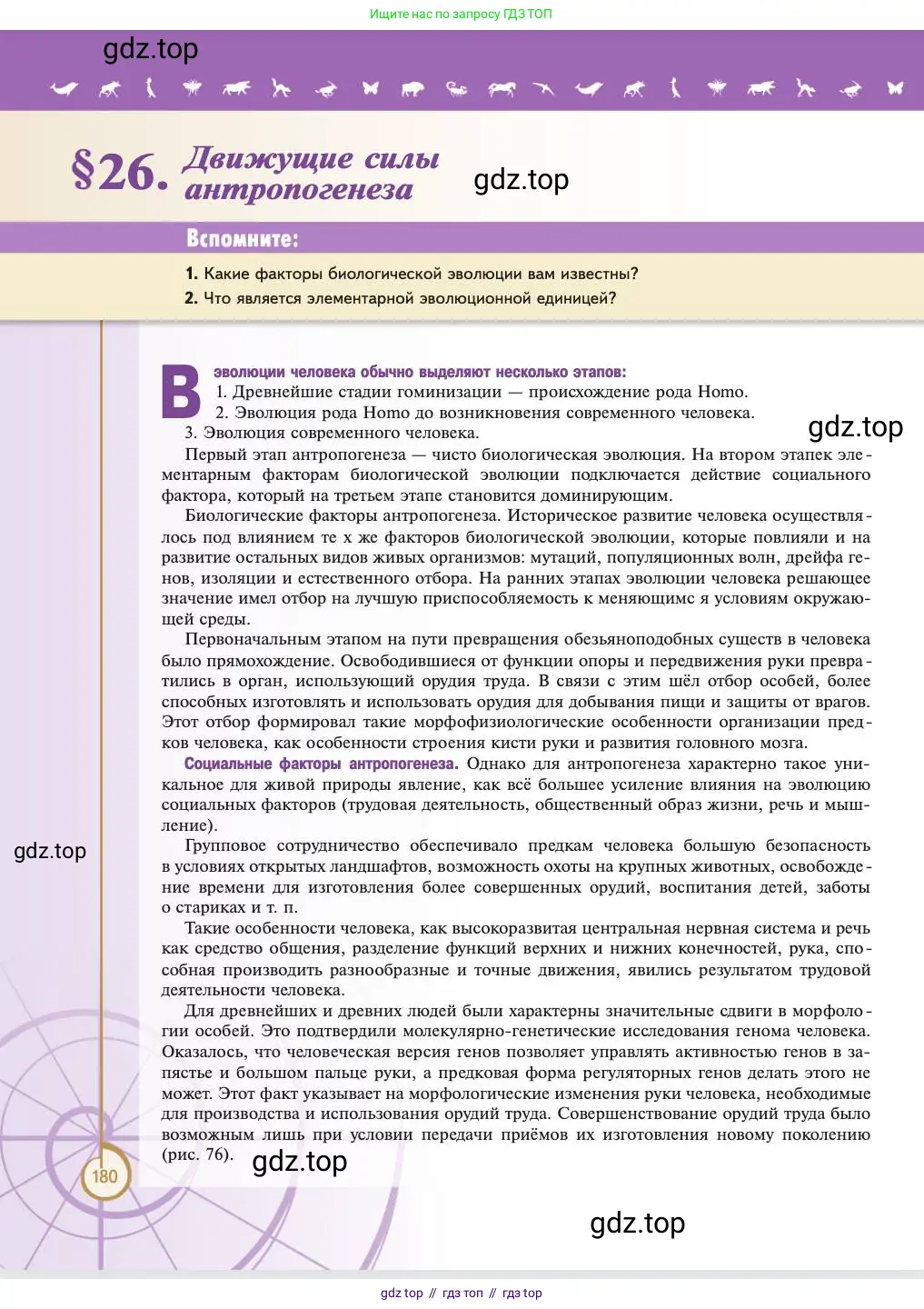 Биология, 11 класс Учебник, авторы: Пасечник Владимир Васильевич, Каменский Андрей Александрович, Рубцов Александр Михайлович, Швецов Глеб Геннадьевич, Абовян Леван Арташесович, Гапонюк Зоя Георгиевна, издательство Просвещение, Москва, 2023, страница 180