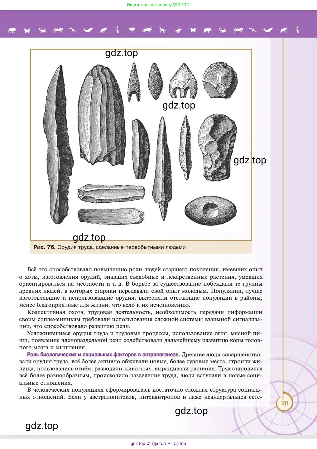 Биология, 11 класс Учебник, авторы: Пасечник Владимир Васильевич, Каменский Андрей Александрович, Рубцов Александр Михайлович, Швецов Глеб Геннадьевич, Абовян Леван Арташесович, Гапонюк Зоя Георгиевна, издательство Просвещение, Москва, 2023, страница 181