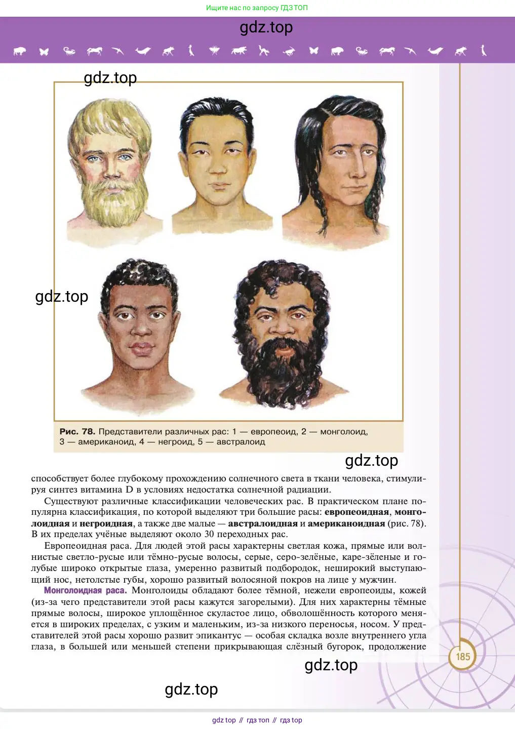 Биология, 11 класс Учебник, авторы: Пасечник Владимир Васильевич, Каменский Андрей Александрович, Рубцов Александр Михайлович, Швецов Глеб Геннадьевич, Абовян Леван Арташесович, Гапонюк Зоя Георгиевна, издательство Просвещение, Москва, 2023, страница 185