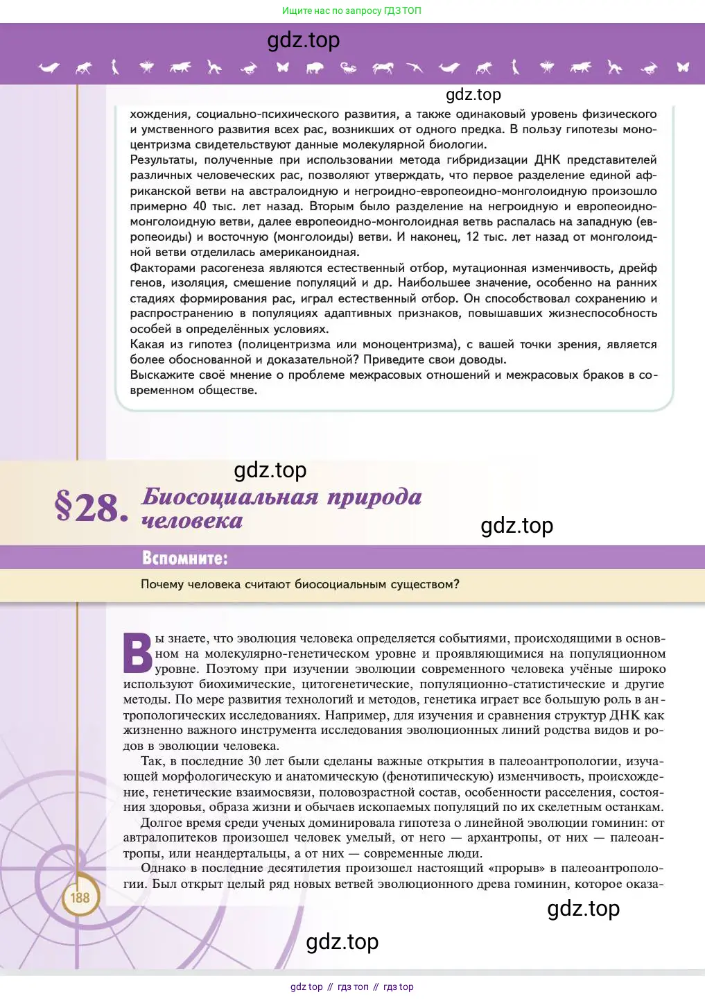 Биология, 11 класс Учебник, авторы: Пасечник Владимир Васильевич, Каменский Андрей Александрович, Рубцов Александр Михайлович, Швецов Глеб Геннадьевич, Абовян Леван Арташесович, Гапонюк Зоя Георгиевна, издательство Просвещение, Москва, 2023, страница 188