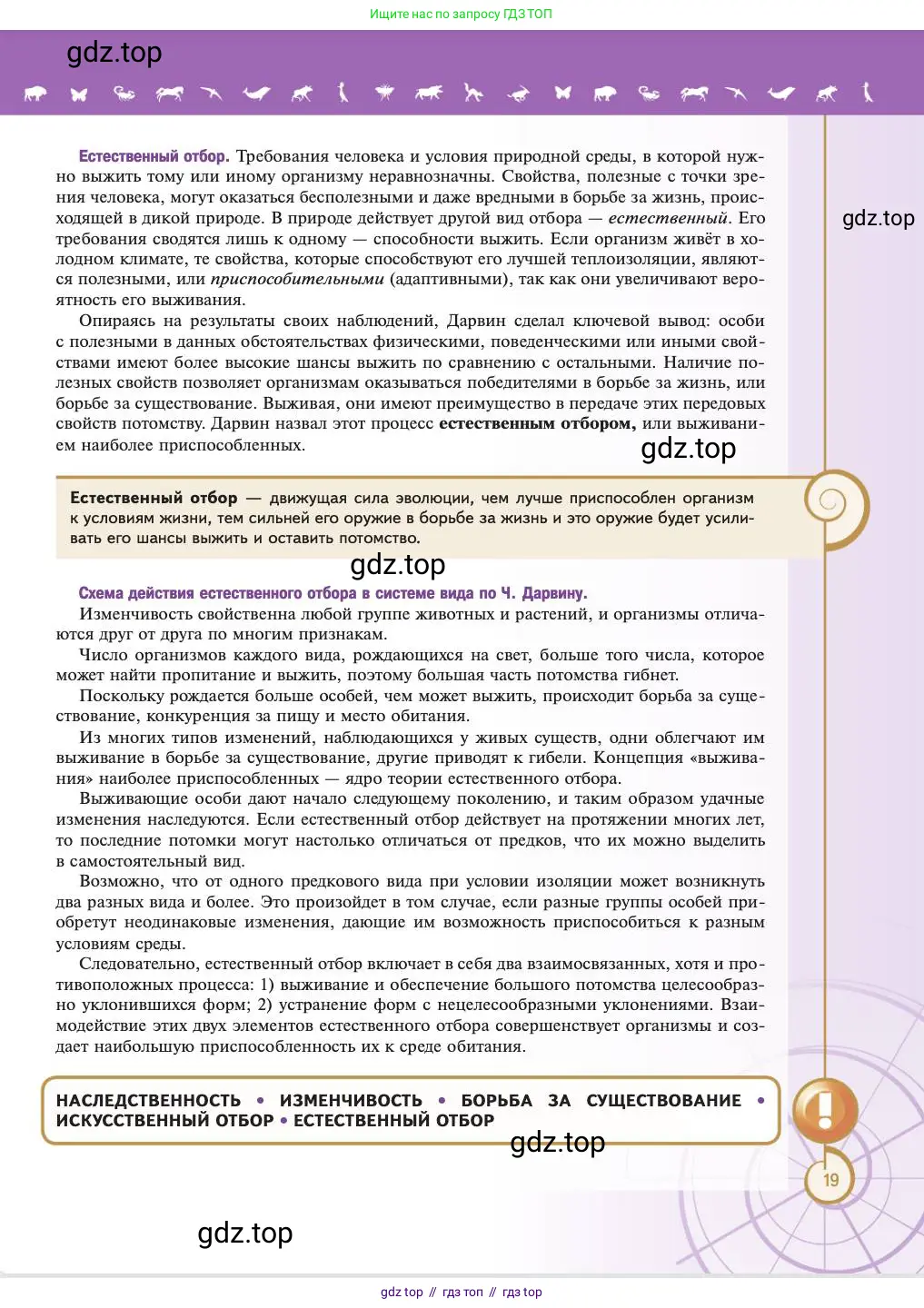 Биология, 11 класс Учебник, авторы: Пасечник Владимир Васильевич, Каменский Андрей Александрович, Рубцов Александр Михайлович, Швецов Глеб Геннадьевич, Абовян Леван Арташесович, Гапонюк Зоя Георгиевна, издательство Просвещение, Москва, 2023, страница 19