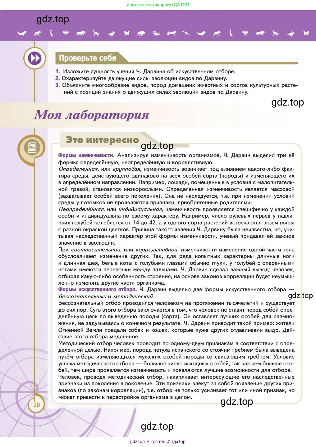 Биология, 11 класс Учебник, авторы: Пасечник Владимир Васильевич, Каменский Андрей Александрович, Рубцов Александр Михайлович, Швецов Глеб Геннадьевич, Абовян Леван Арташесович, Гапонюк Зоя Георгиевна, издательство Просвещение, Москва, 2023, страница 20