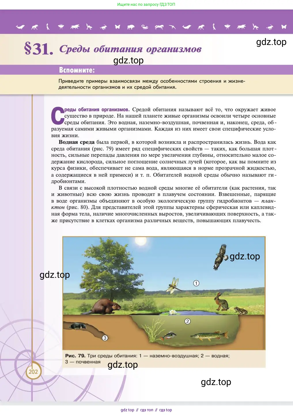 Биология, 11 класс Учебник, авторы: Пасечник Владимир Васильевич, Каменский Андрей Александрович, Рубцов Александр Михайлович, Швецов Глеб Геннадьевич, Абовян Леван Арташесович, Гапонюк Зоя Георгиевна, издательство Просвещение, Москва, 2023, страница 202