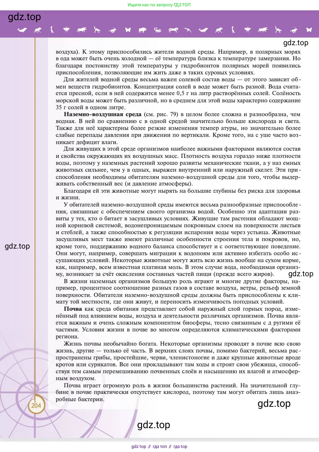 Биология, 11 класс Учебник, авторы: Пасечник Владимир Васильевич, Каменский Андрей Александрович, Рубцов Александр Михайлович, Швецов Глеб Геннадьевич, Абовян Леван Арташесович, Гапонюк Зоя Георгиевна, издательство Просвещение, Москва, 2023, страница 204