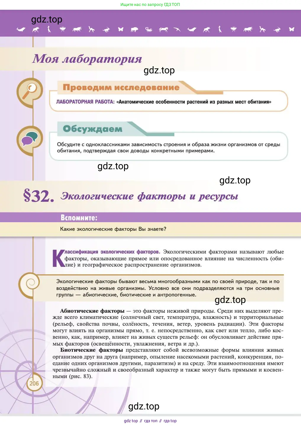 Биология, 11 класс Учебник, авторы: Пасечник Владимир Васильевич, Каменский Андрей Александрович, Рубцов Александр Михайлович, Швецов Глеб Геннадьевич, Абовян Леван Арташесович, Гапонюк Зоя Георгиевна, издательство Просвещение, Москва, 2023, страница 206