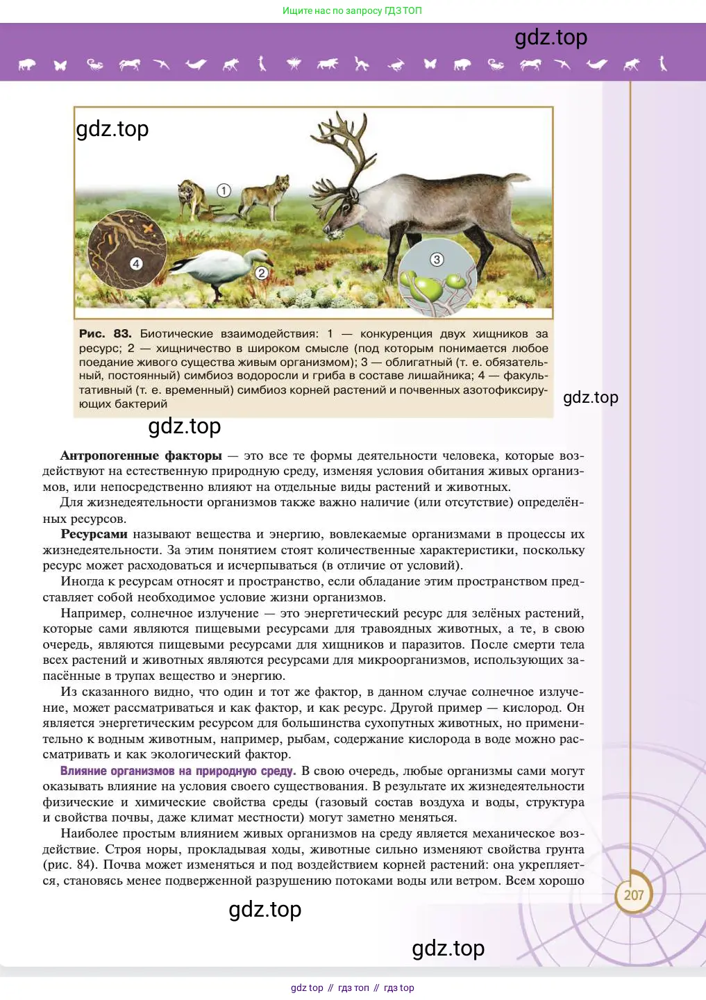 Биология, 11 класс Учебник, авторы: Пасечник Владимир Васильевич, Каменский Андрей Александрович, Рубцов Александр Михайлович, Швецов Глеб Геннадьевич, Абовян Леван Арташесович, Гапонюк Зоя Георгиевна, издательство Просвещение, Москва, 2023, страница 207