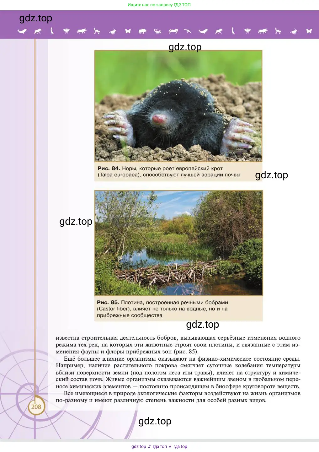 Биология, 11 класс Учебник, авторы: Пасечник Владимир Васильевич, Каменский Андрей Александрович, Рубцов Александр Михайлович, Швецов Глеб Геннадьевич, Абовян Леван Арташесович, Гапонюк Зоя Георгиевна, издательство Просвещение, Москва, 2023, страница 208