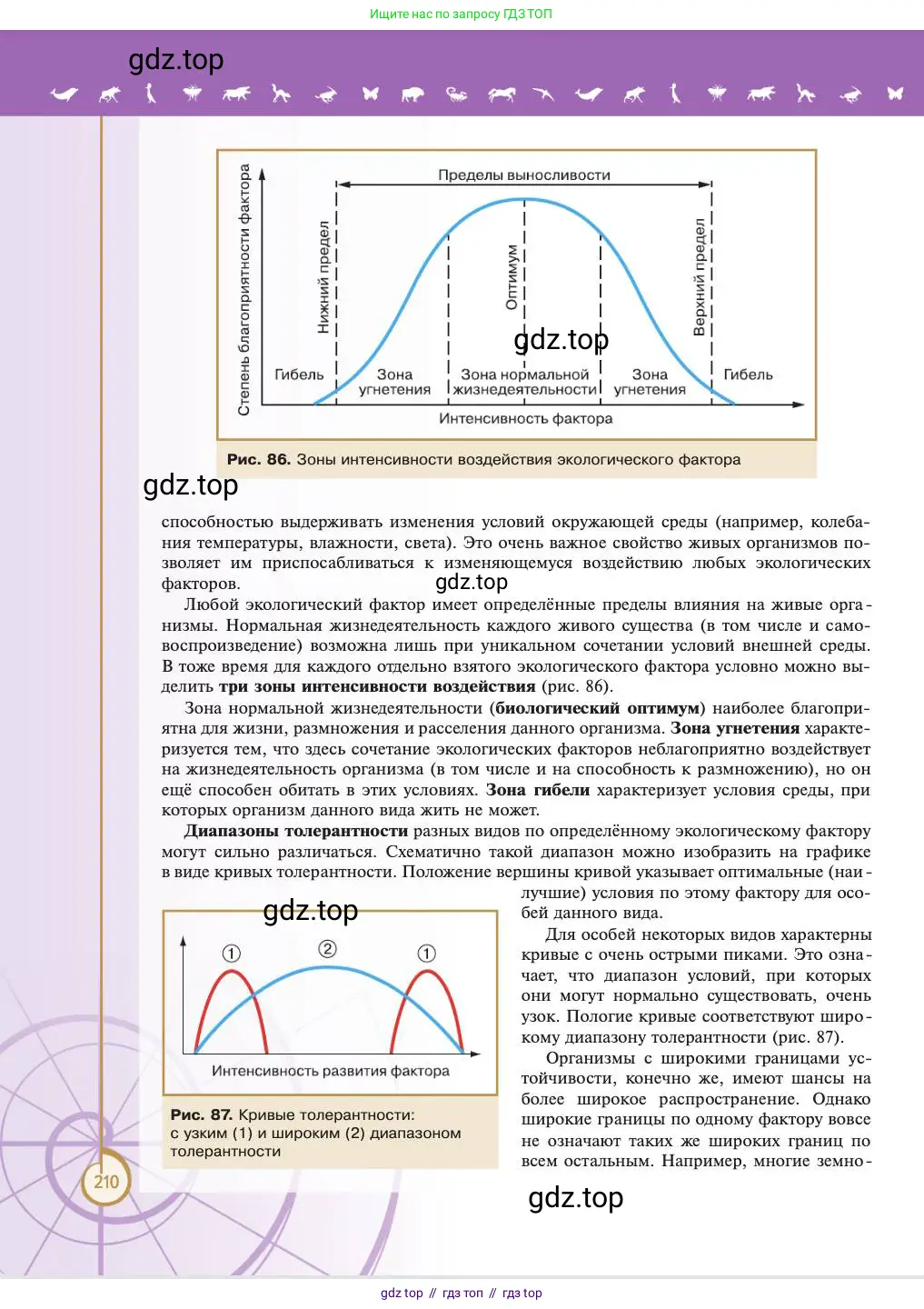 Биология, 11 класс Учебник, авторы: Пасечник Владимир Васильевич, Каменский Андрей Александрович, Рубцов Александр Михайлович, Швецов Глеб Геннадьевич, Абовян Леван Арташесович, Гапонюк Зоя Георгиевна, издательство Просвещение, Москва, 2023, страница 210