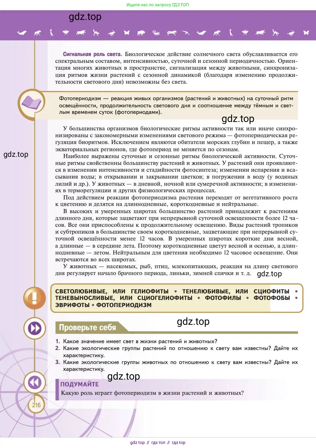 Биология, 11 класс Учебник, авторы: Пасечник Владимир Васильевич, Каменский Андрей Александрович, Рубцов Александр Михайлович, Швецов Глеб Геннадьевич, Абовян Леван Арташесович, Гапонюк Зоя Георгиевна, издательство Просвещение, Москва, 2023, страница 216