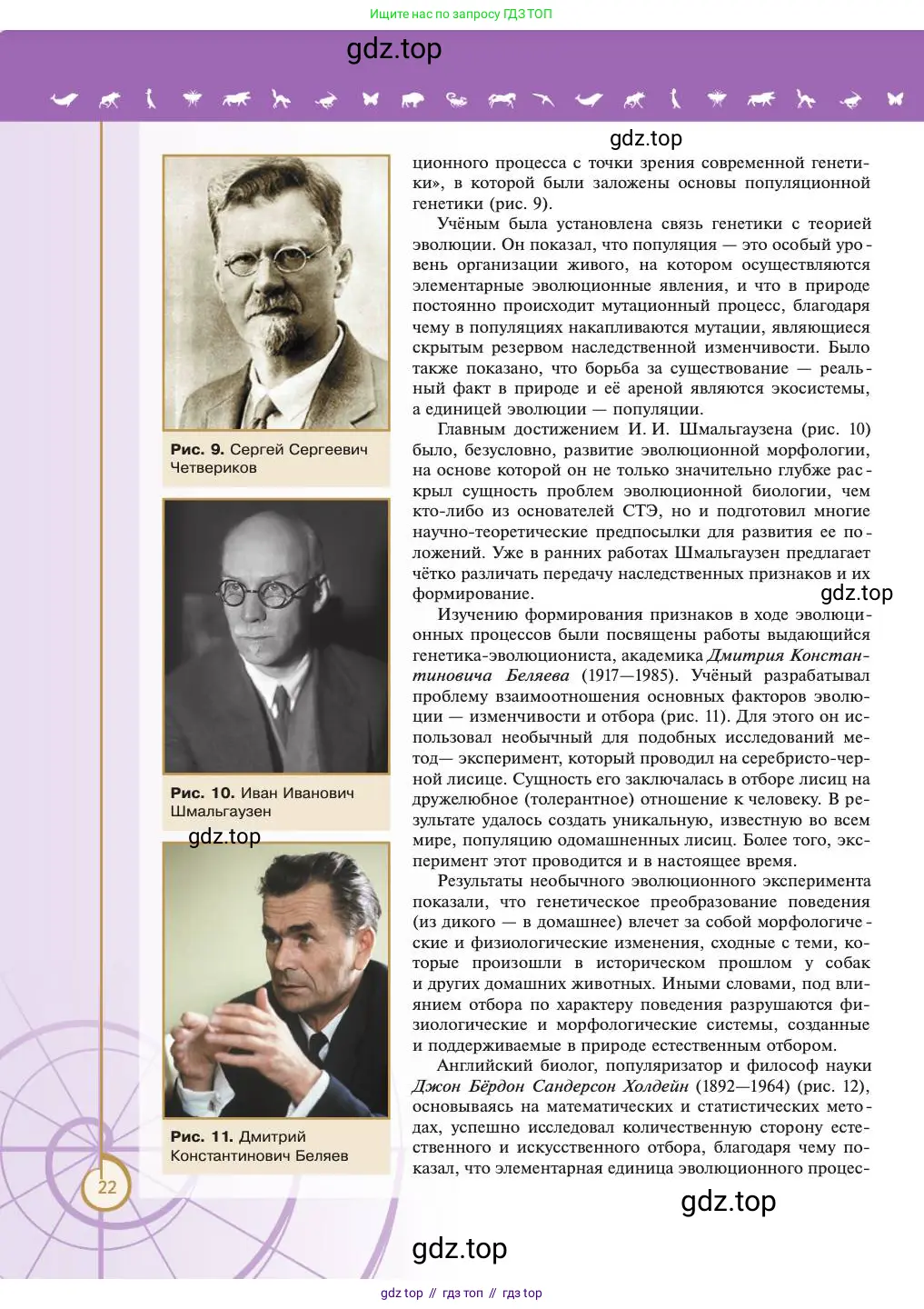 Биология, 11 класс Учебник, авторы: Пасечник Владимир Васильевич, Каменский Андрей Александрович, Рубцов Александр Михайлович, Швецов Глеб Геннадьевич, Абовян Леван Арташесович, Гапонюк Зоя Георгиевна, издательство Просвещение, Москва, 2023, страница 22