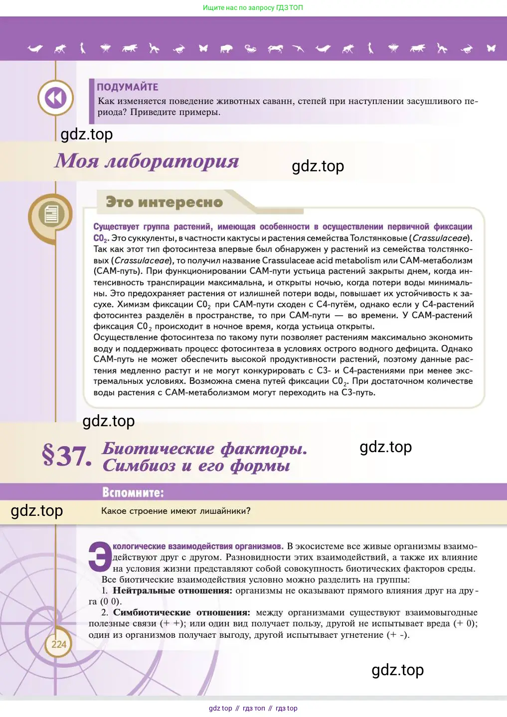 Биология, 11 класс Учебник, авторы: Пасечник Владимир Васильевич, Каменский Андрей Александрович, Рубцов Александр Михайлович, Швецов Глеб Геннадьевич, Абовян Леван Арташесович, Гапонюк Зоя Георгиевна, издательство Просвещение, Москва, 2023, страница 224