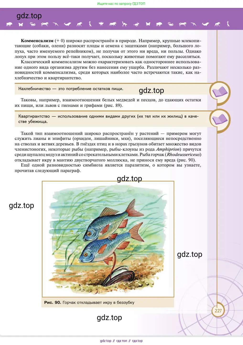 Биология, 11 класс Учебник, авторы: Пасечник Владимир Васильевич, Каменский Андрей Александрович, Рубцов Александр Михайлович, Швецов Глеб Геннадьевич, Абовян Леван Арташесович, Гапонюк Зоя Георгиевна, издательство Просвещение, Москва, 2023, страница 227
